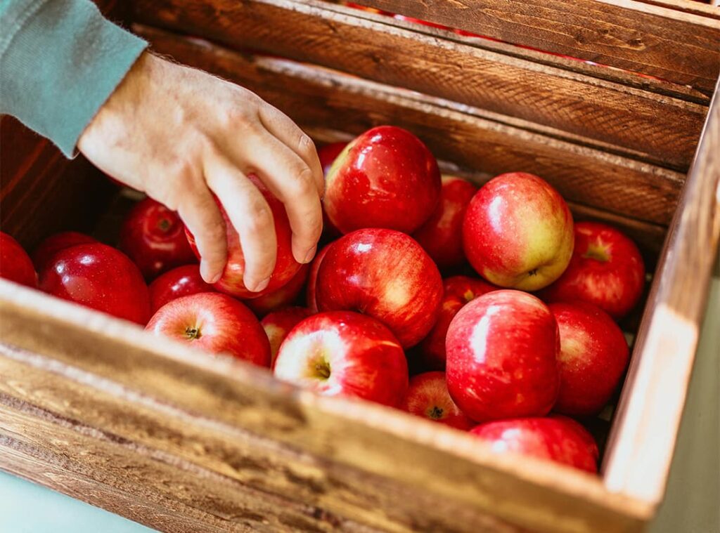Apple Hill